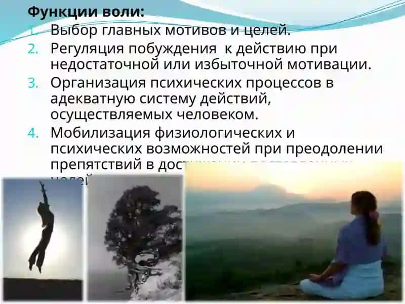 Волевые действия и их контроль 4