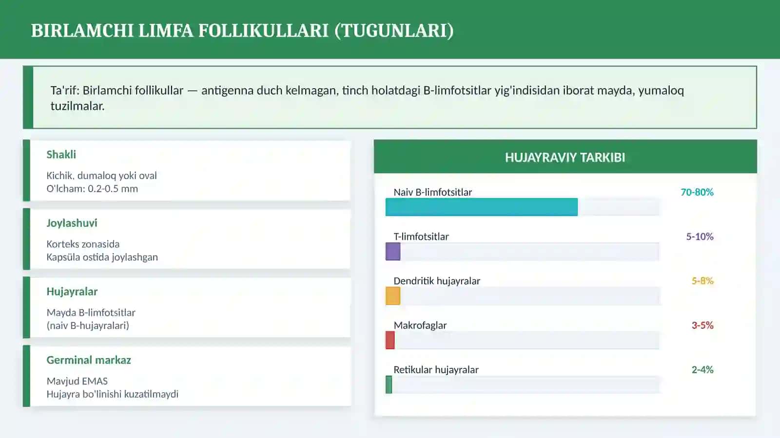 GISTOLOGIYA KURSI 4