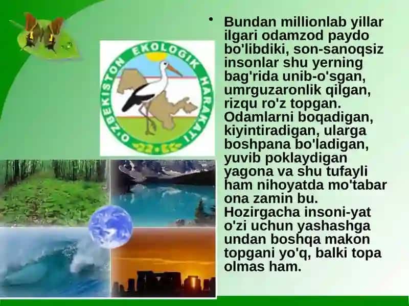 Mintaqaviy ekologik muammolar 4