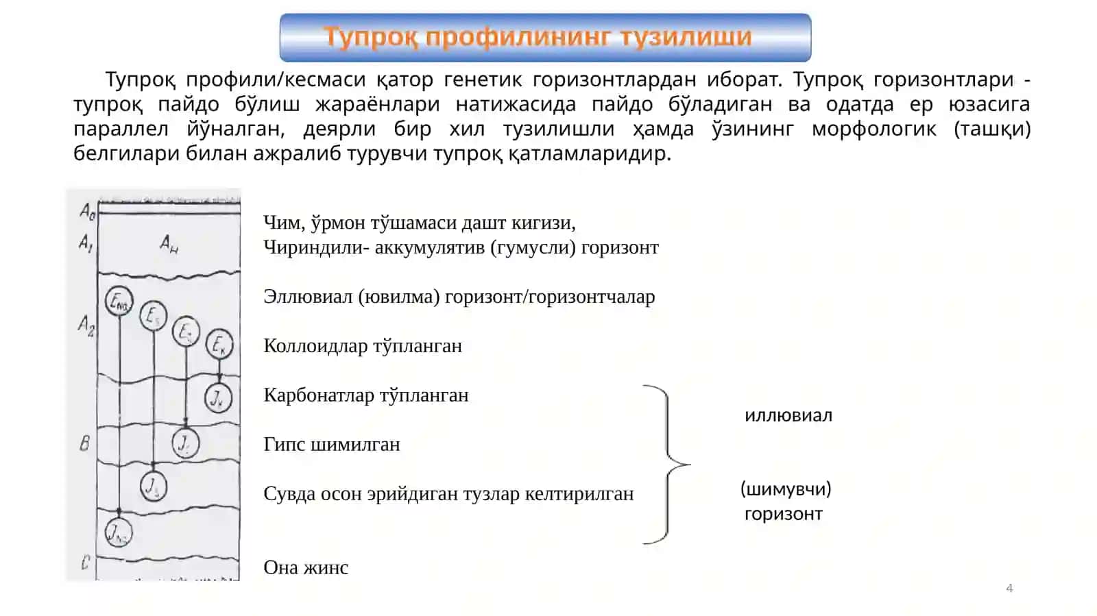 Тупроқ морфологияси ва таркиби 4
