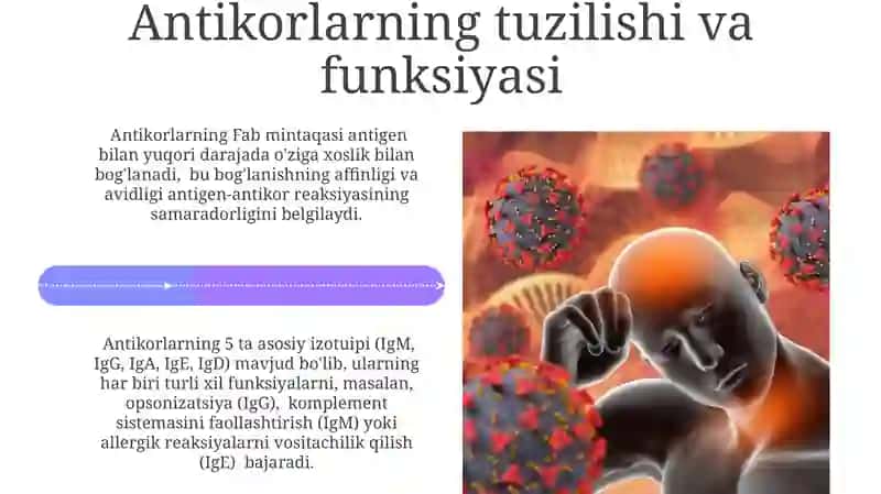 Taloba suyak miyasining ahamiyati 4