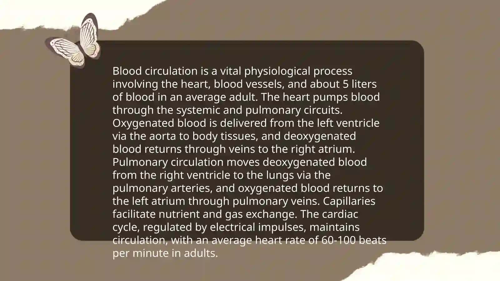 Cardiovascular system Umurzoqova Lola 4