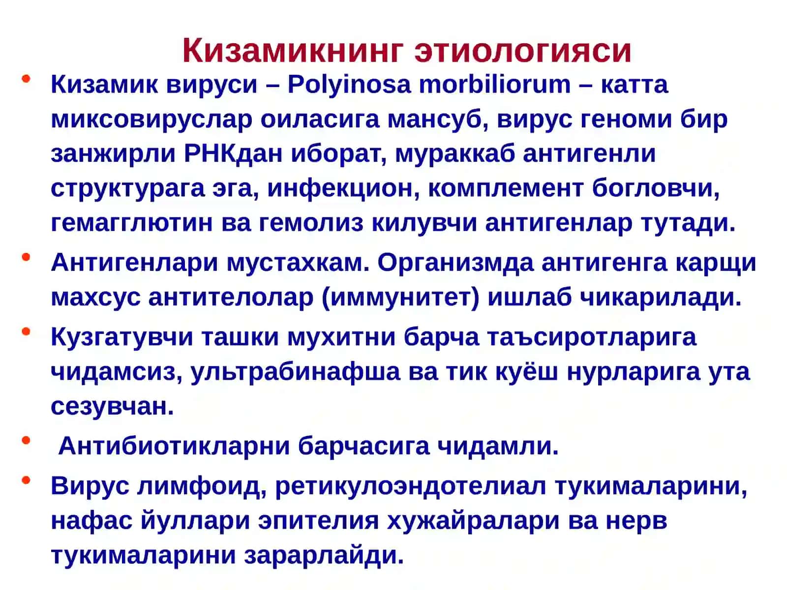 Кизамик 4