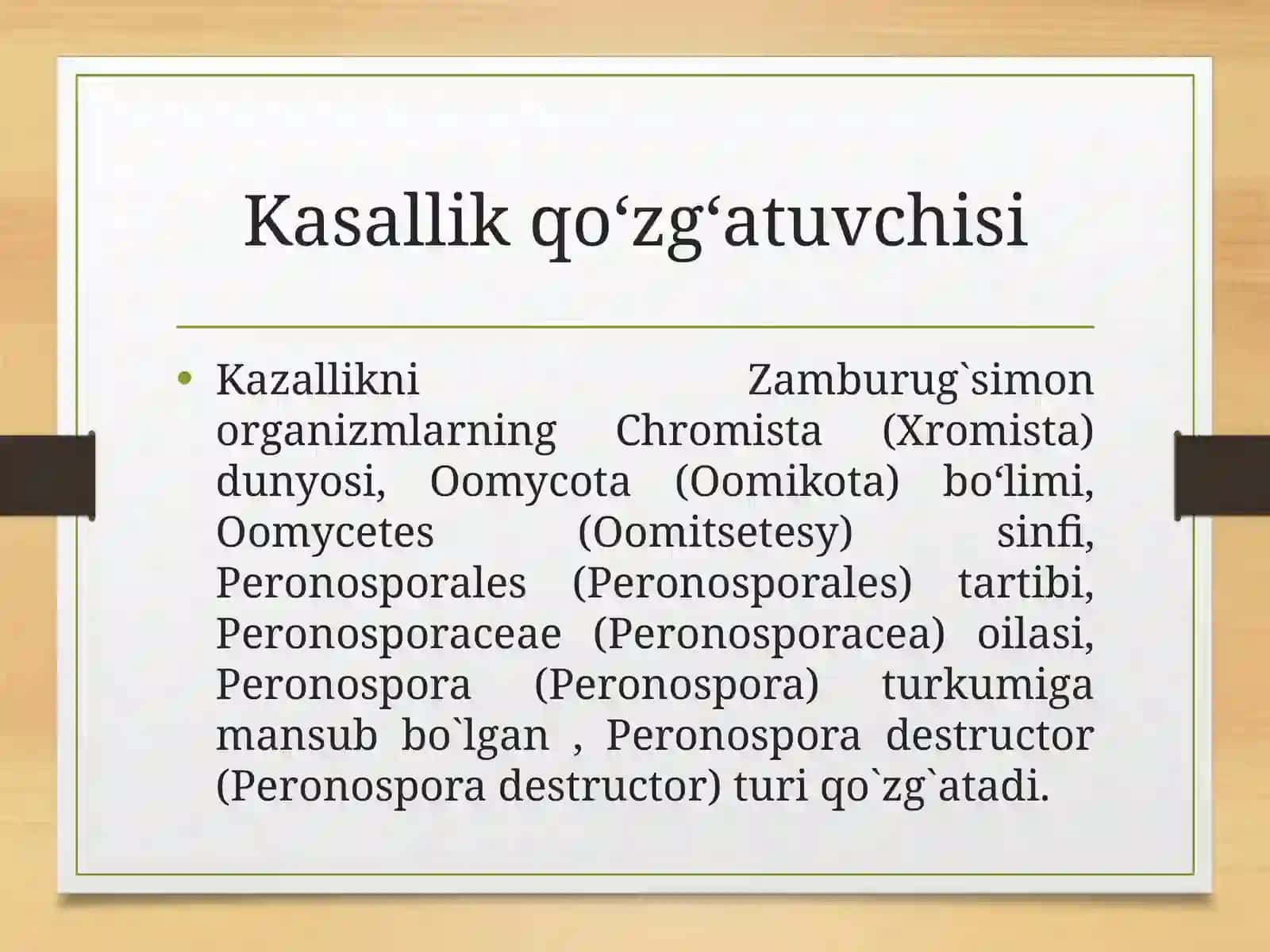 Peronosporoz piyoz kasalliklari 4