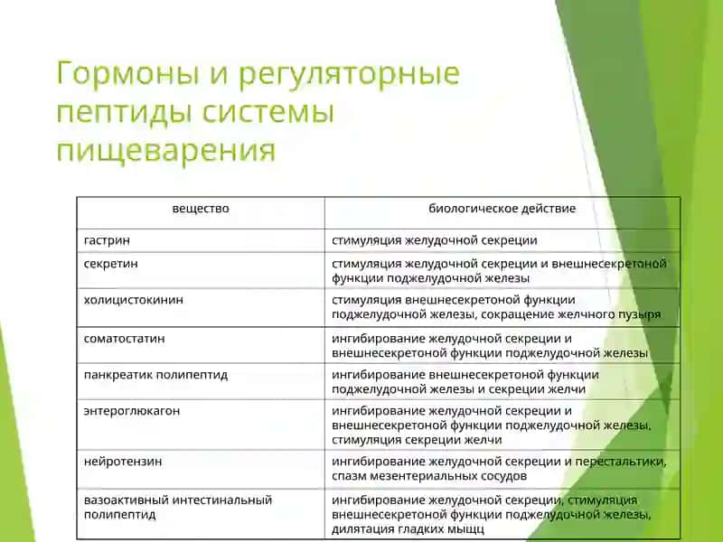 Патофизиология системы пищеварения 4