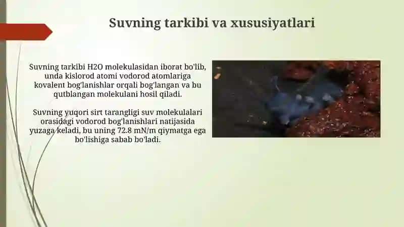 Arganizimning suv-dispers sistemasi 4