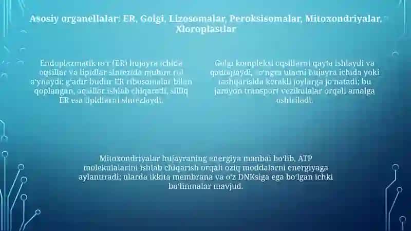Hujayraning sitoplazmatik strukturalarini oʻrganish 4