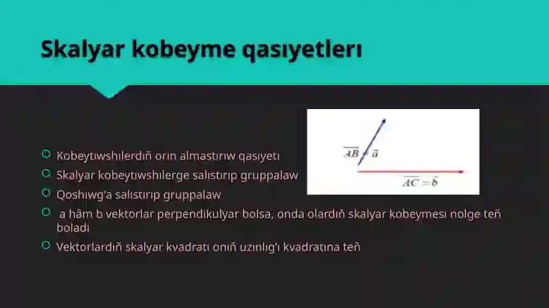 Vektorlar 4