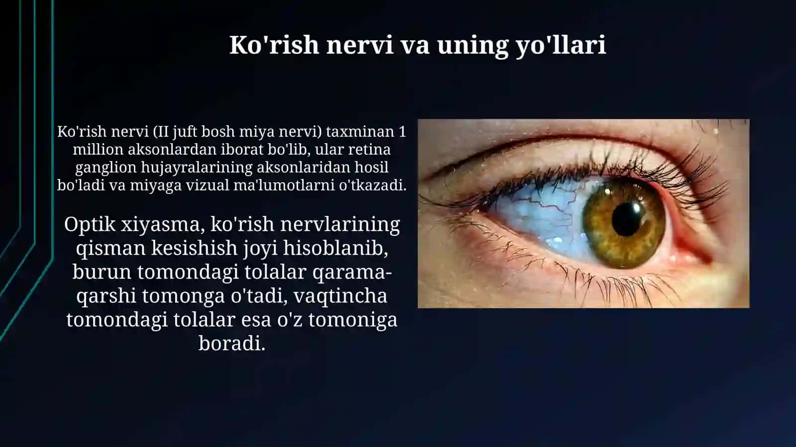 Analizatorlar fizialogiyasi 4