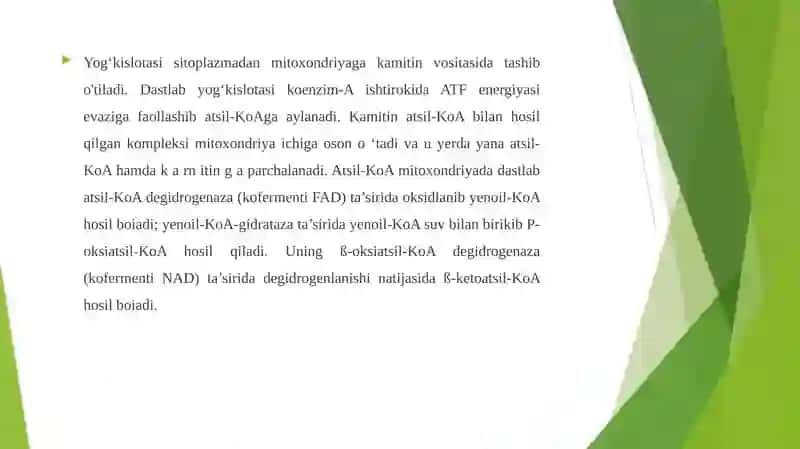 Yog’ kislotalarining oksidlanishi 4