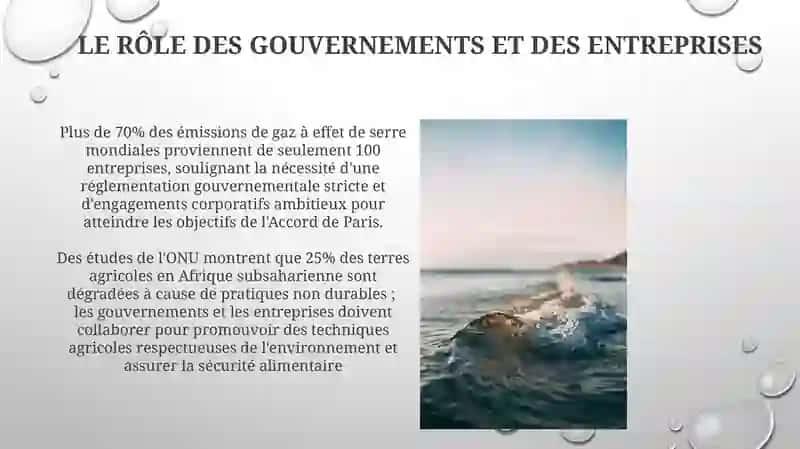 Actions pour la Préservation de la Nature et de l'Environnement 4