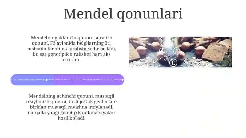 Irsiyat qonunlari.Antimutagenez 4
