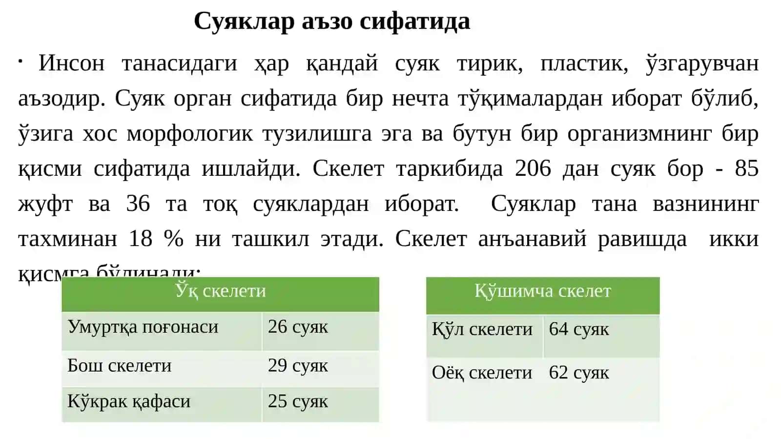 Остеология – скелет тузилиши 4