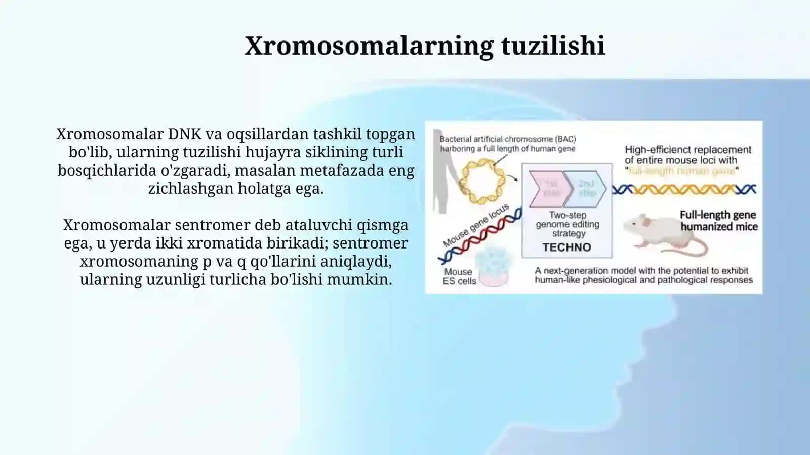 Odam xromosomalarining morfofunksional xususiyatlari 4