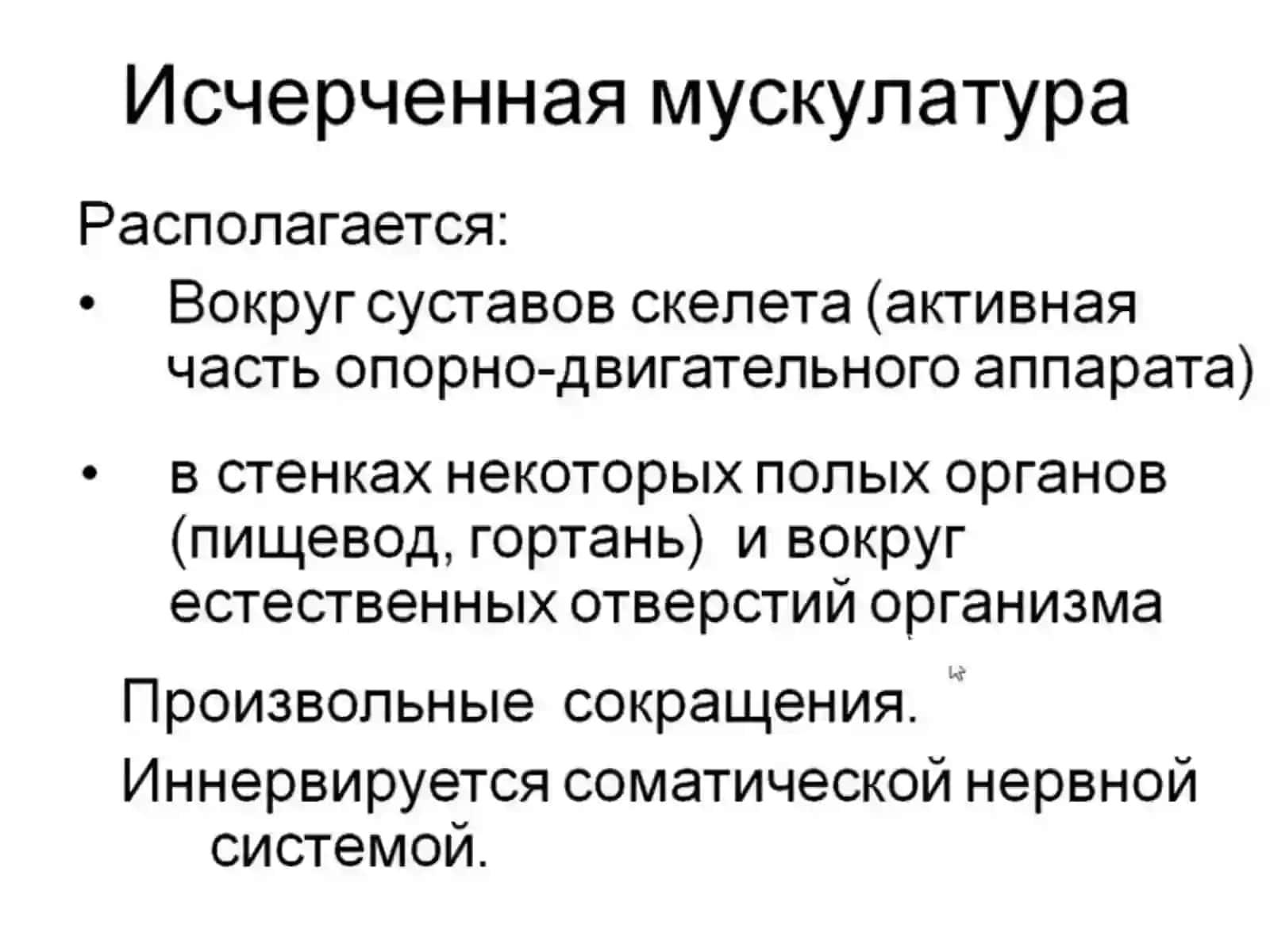 Введение в миологию 4