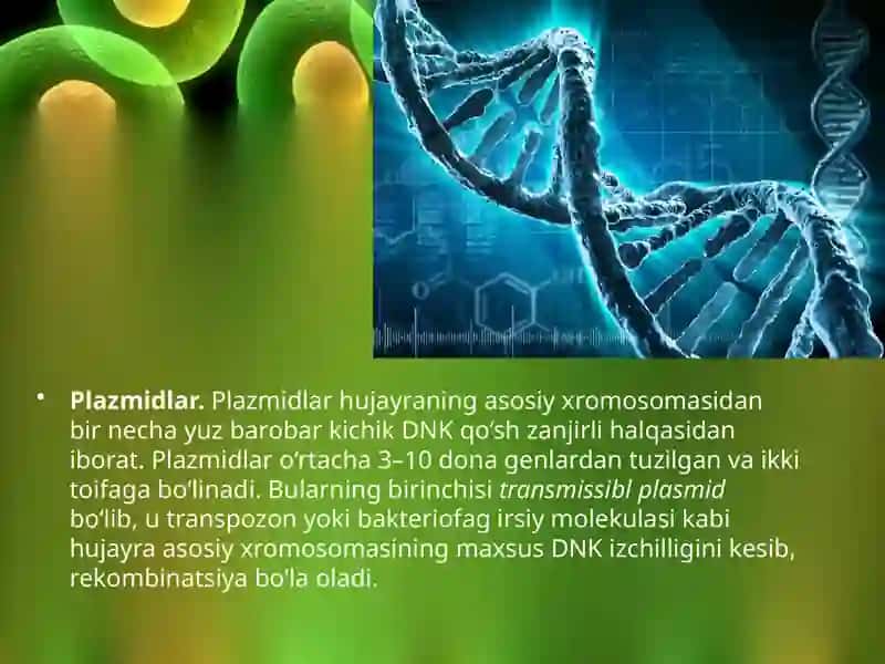 Hujayraning genetik elementlari 4