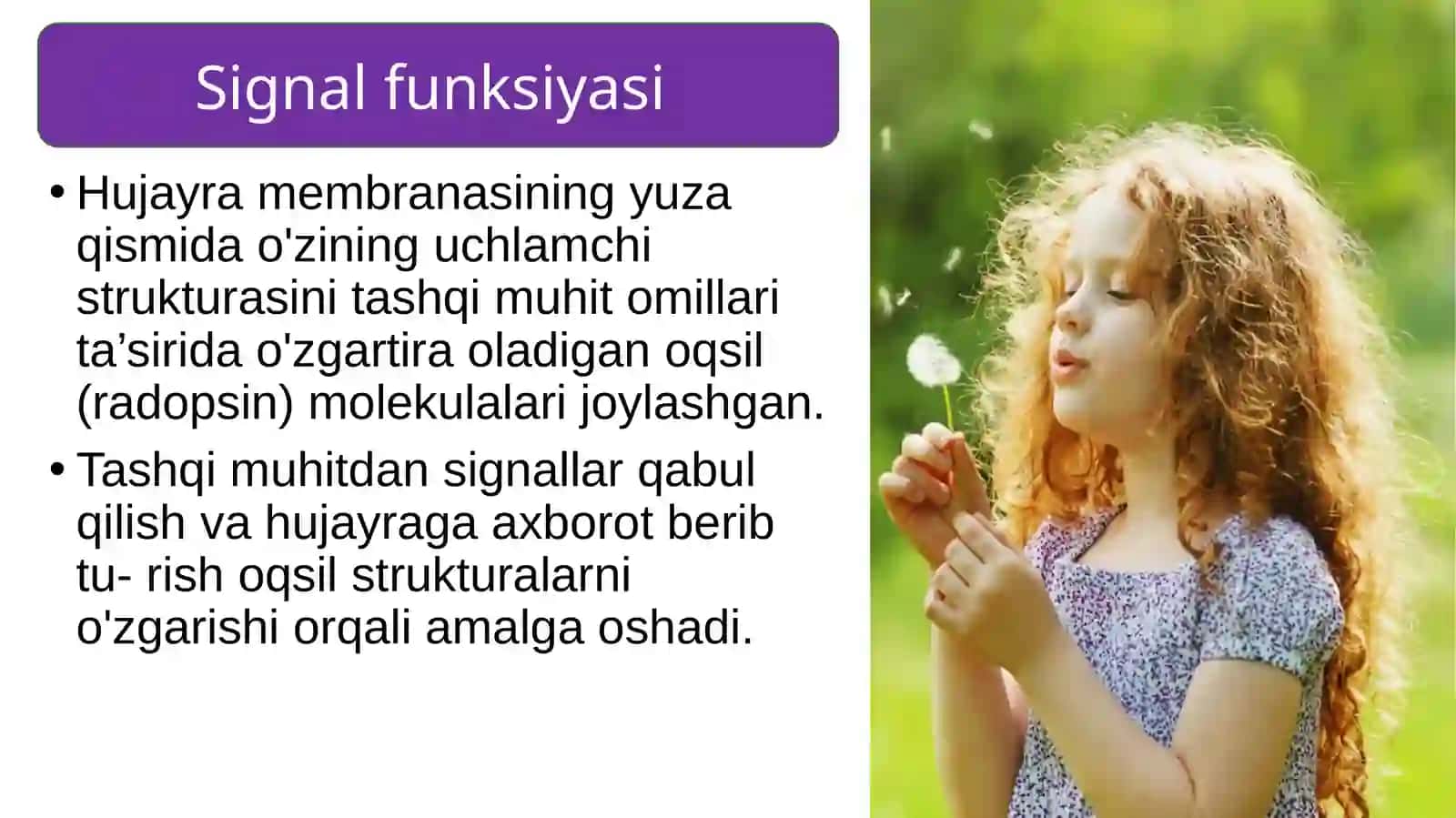 Oqsillarning funksiyasi 4