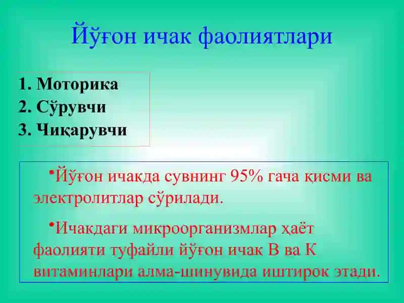 Йўғон ичак раки 4