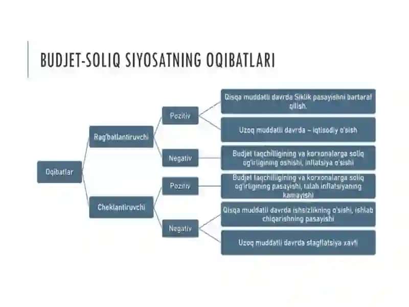 Budjet–soliq siyosati 4