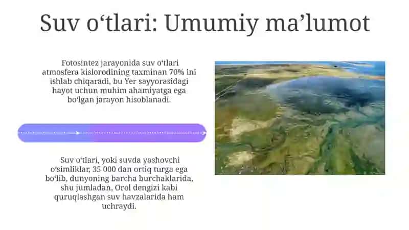 Suv o'tlari 4