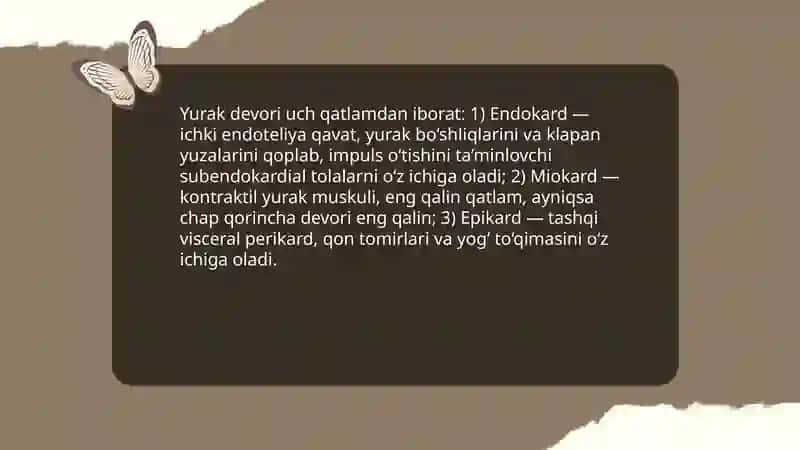Yurak va tomirlar tizimi 4