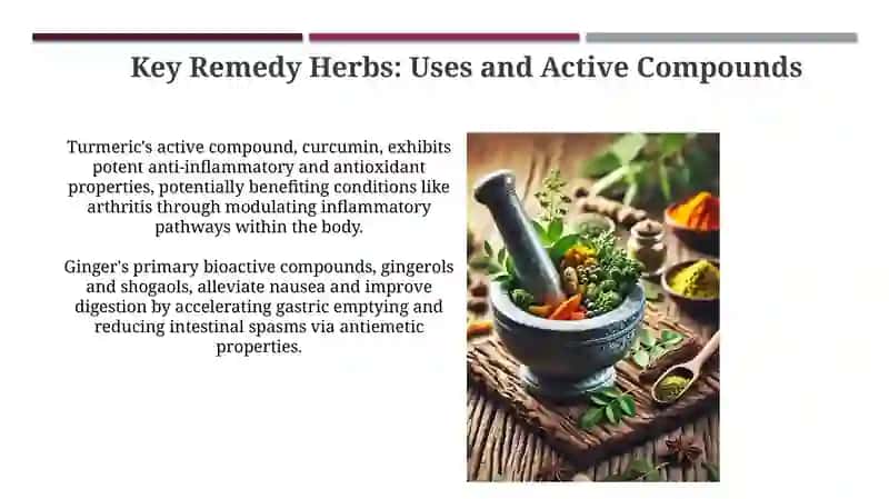 Remedy Herbs 4