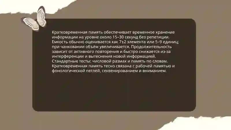 Память и её виды 4
