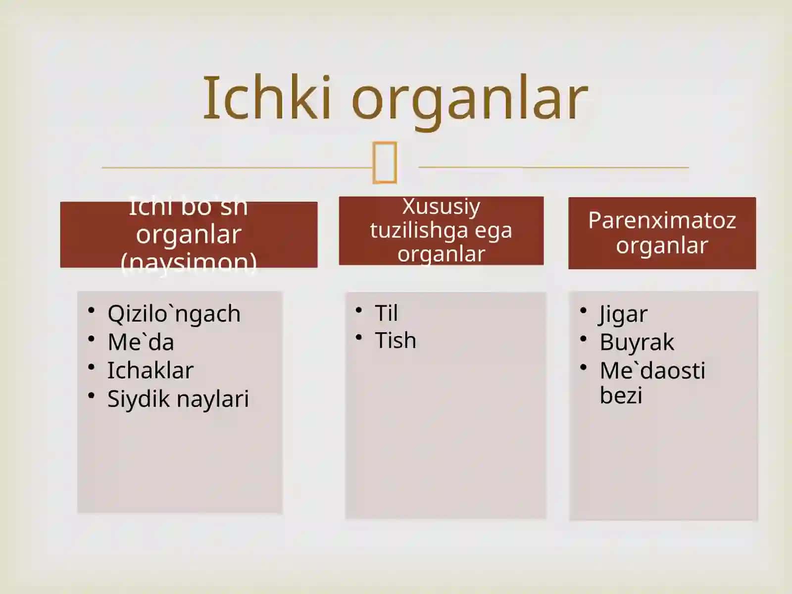 Splanchnologia 4