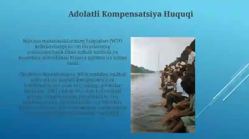 Bojxona ekspertining huquqlari 4