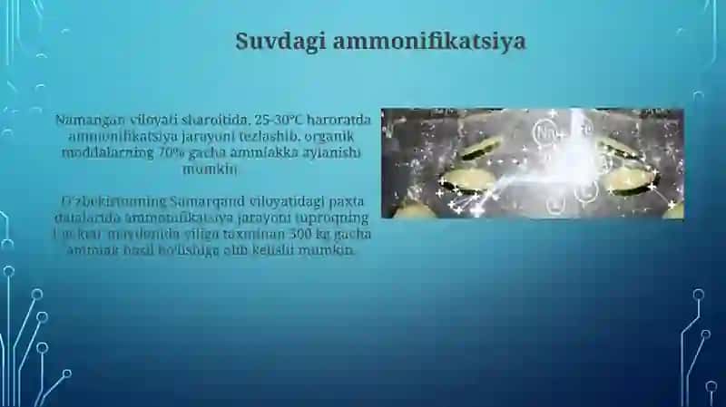 Ammonifikatsiya jarayoni 4