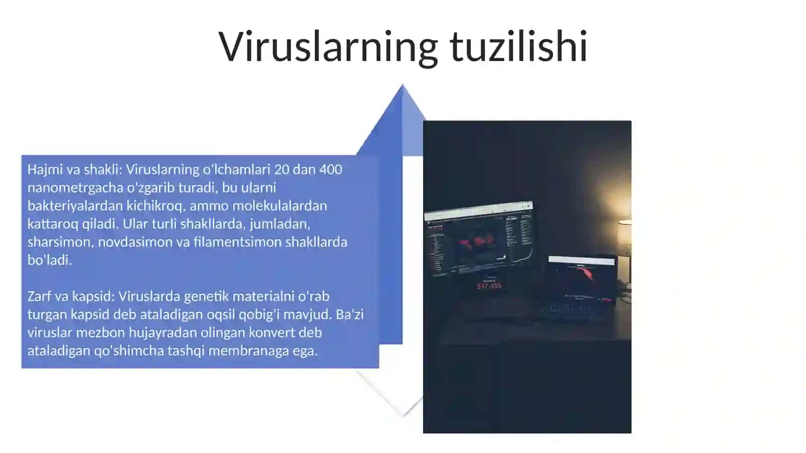 Viruslar 4
