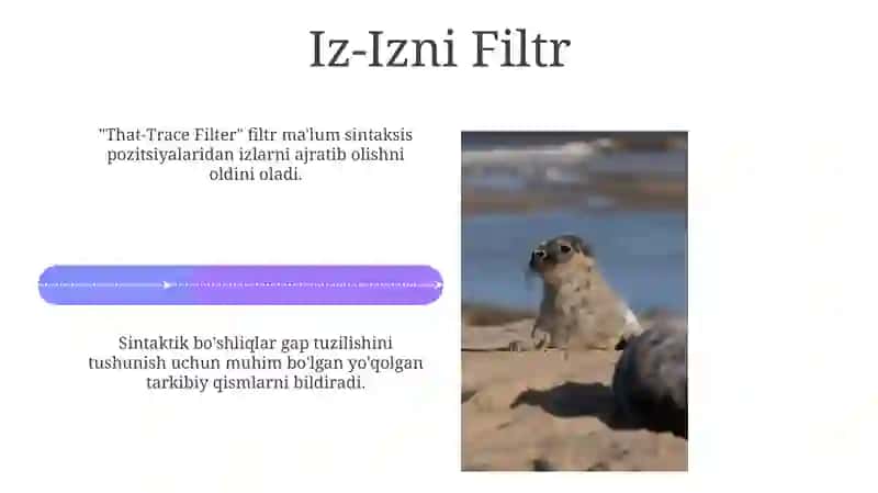 Gap sintaksisi, gaplarning tasniflari 4