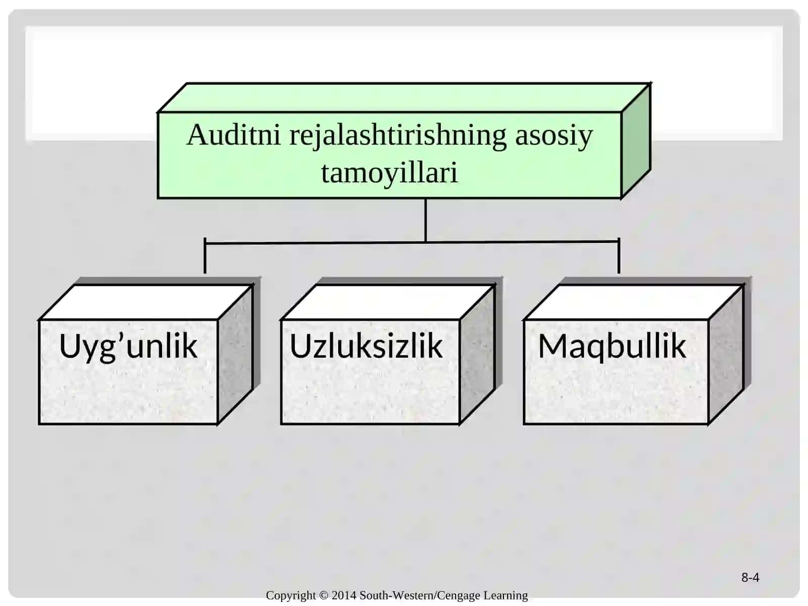 Auditorlik tekshiruvini rejalashtirish 4