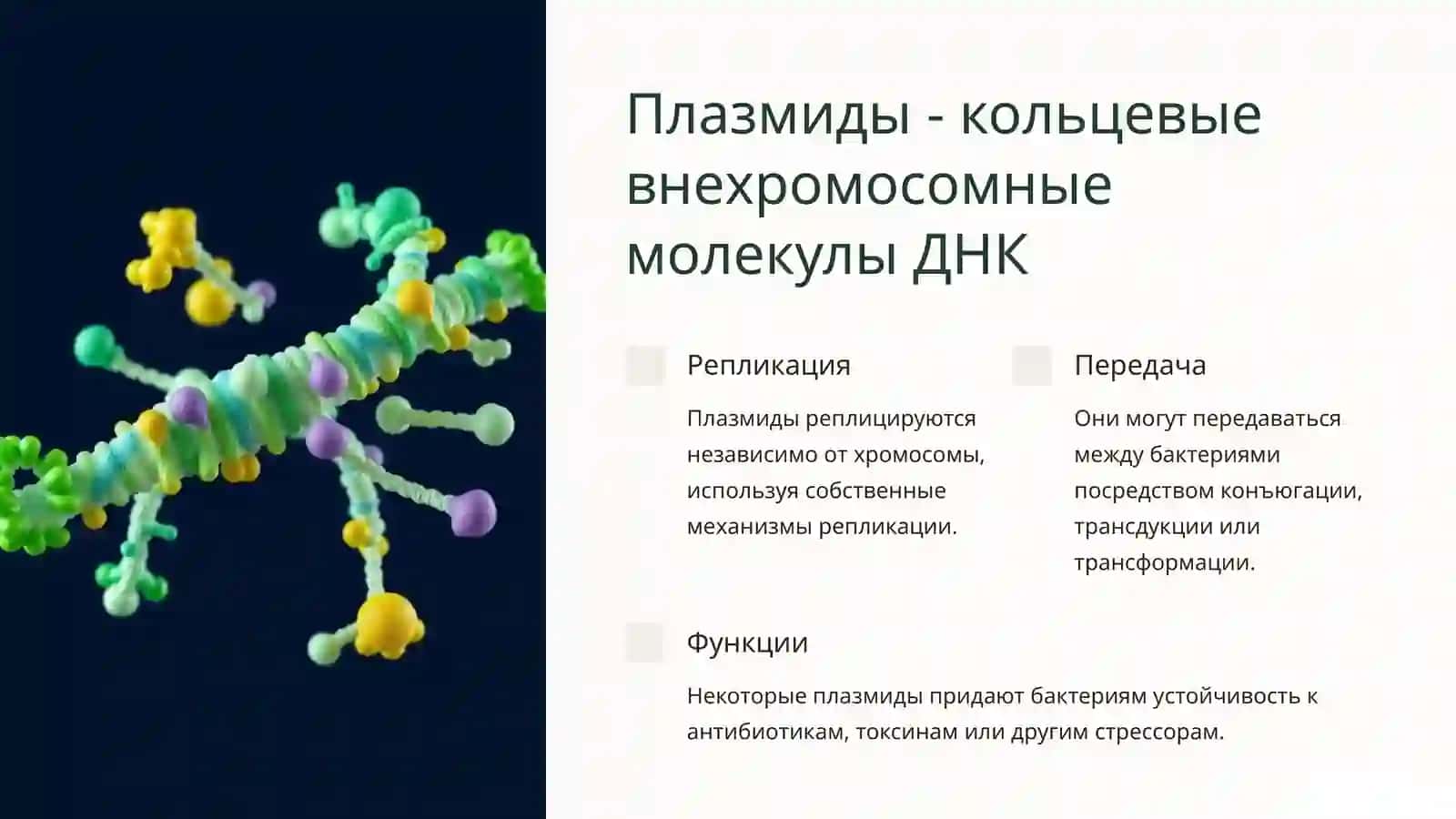 СРС. Генетика и изменчивость микроорганизмов 4