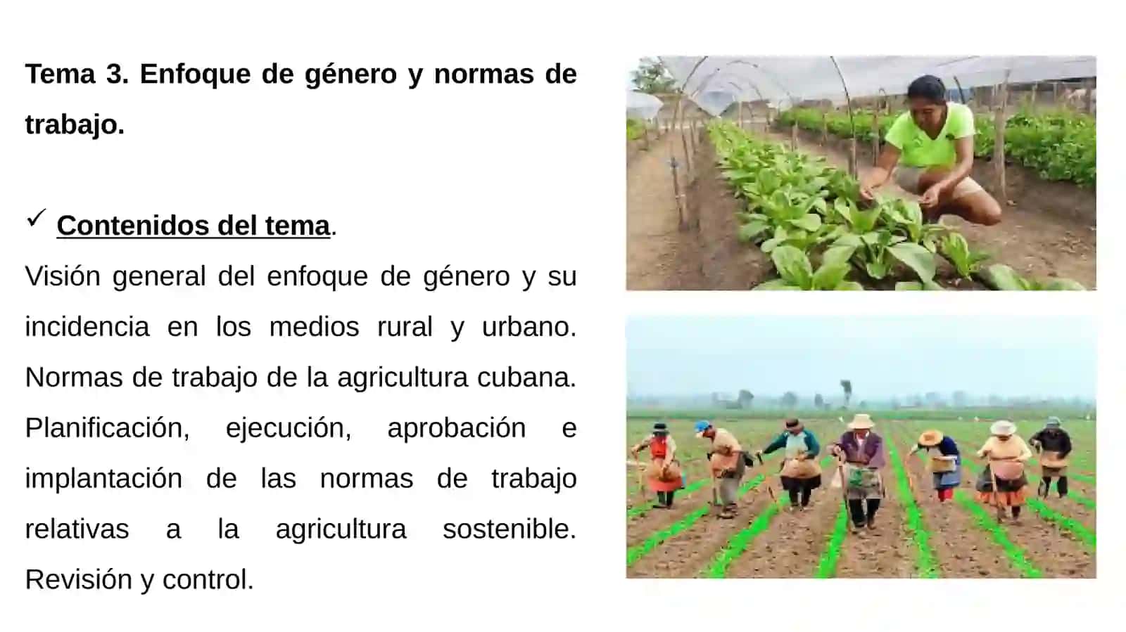 Producción Agropecuaria I 4