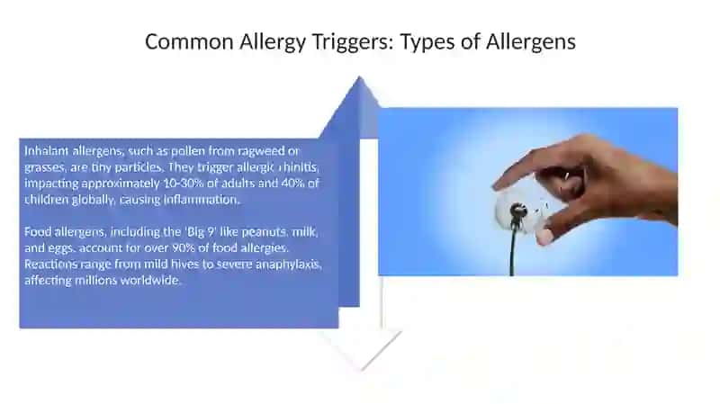 Allergiya 4