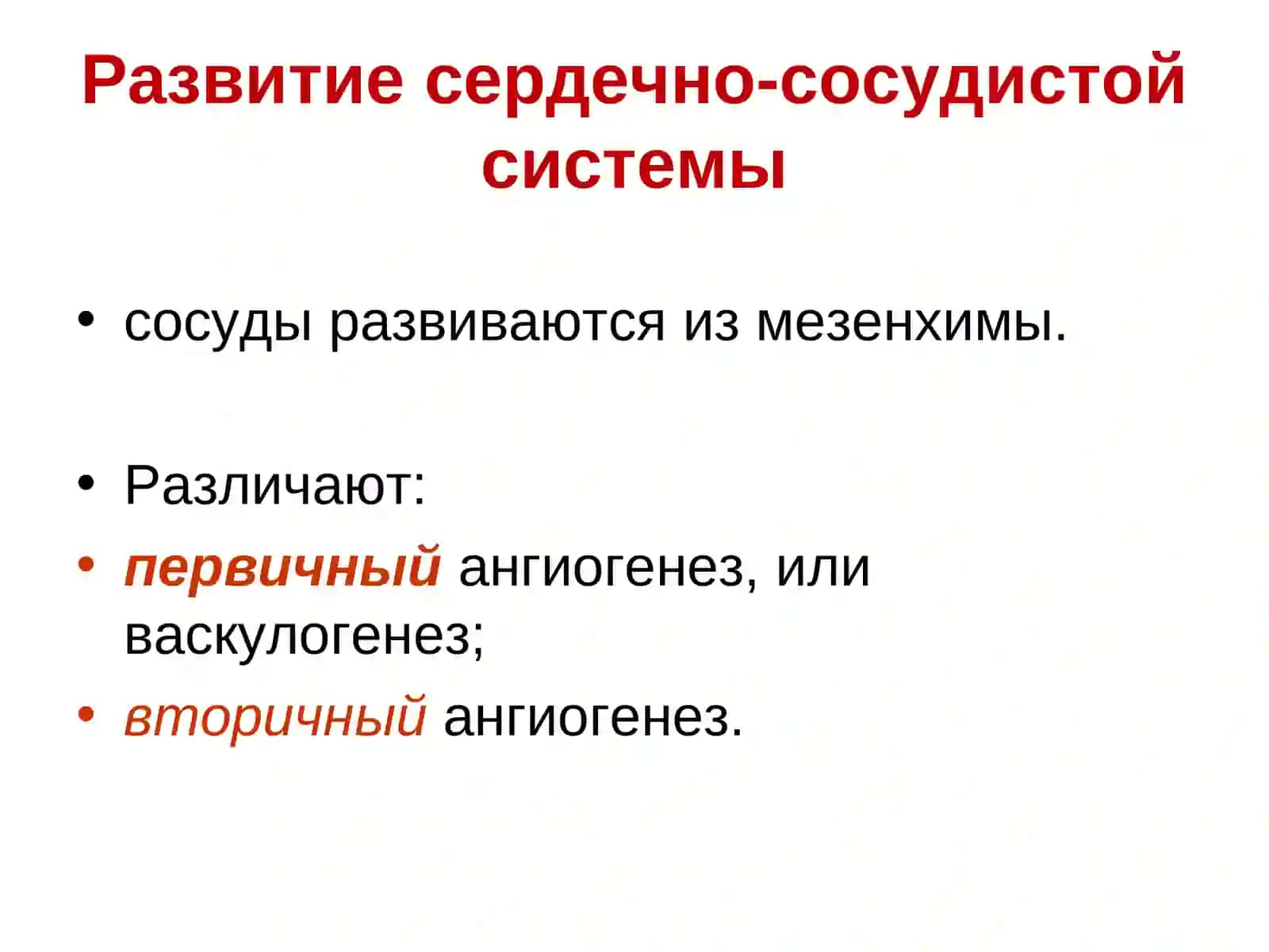 Сердечно-сосудистая система 4
