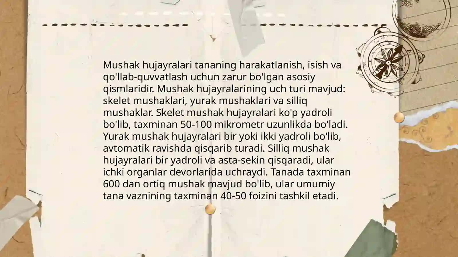 Mushak to'qimalari 4