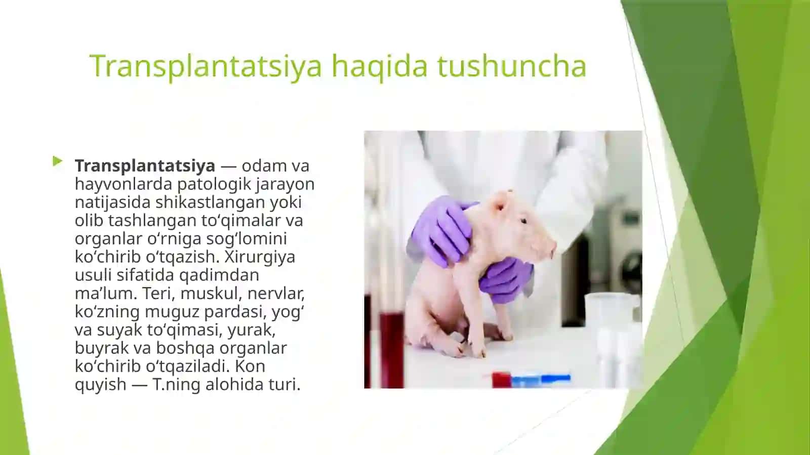 Regeneratsiya va transplantatsiya turlari 4