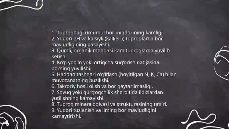 Bor pastulotlari 4