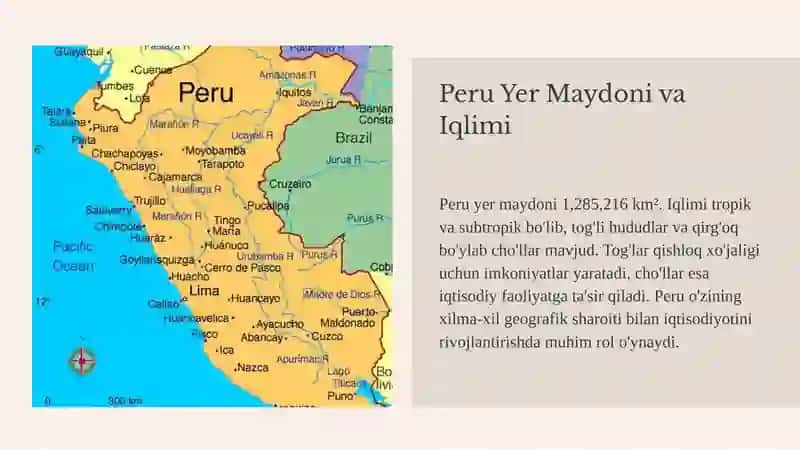 Peru davlat iqtisodiyoti haqida 4