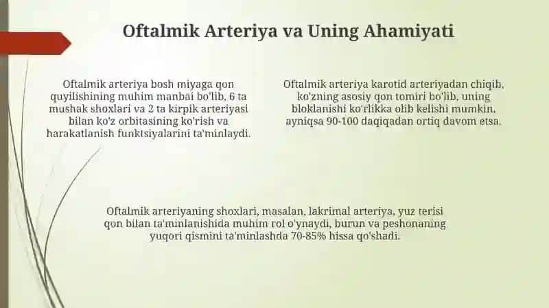 Yuz soxasini qon tomirlar bilan ta'minlanishi 4
