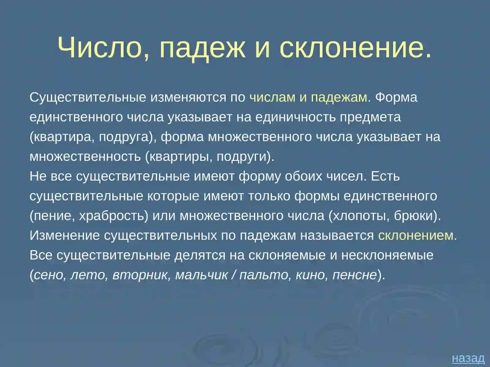 Морфологический разбор имени существительного 4