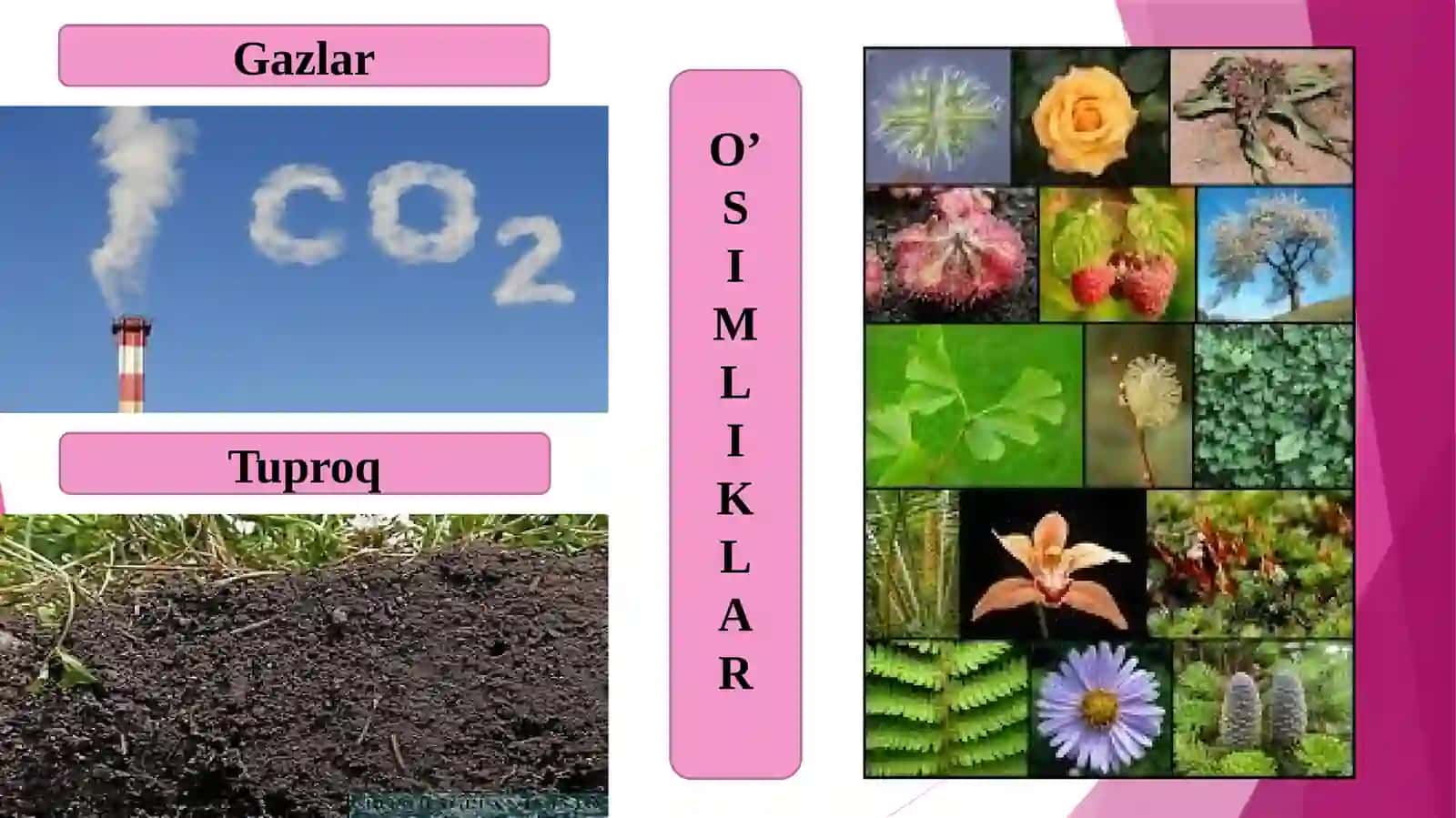 BIOSFERADA MODDA VA ENERGIYANING DAVRIY AYLANISHI 4