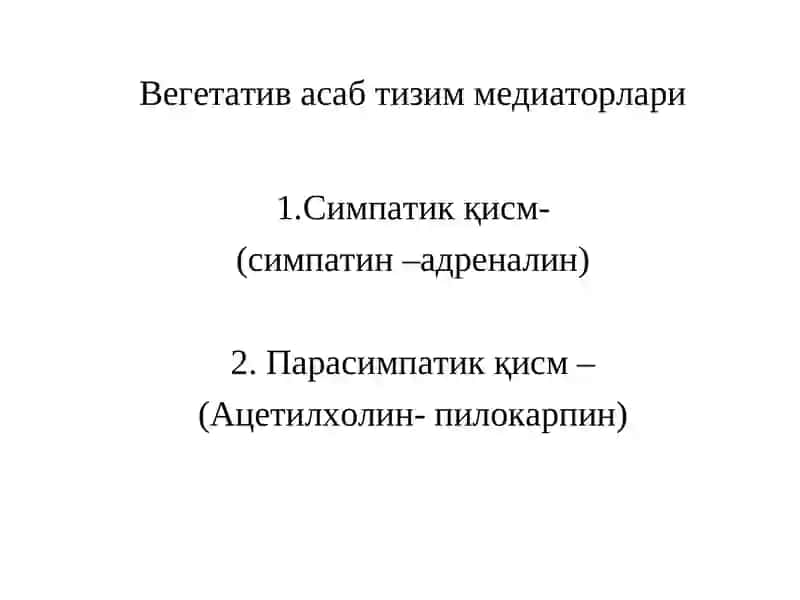 ВЕГЕТАТИВ АСАБ ТИЗИМ 4