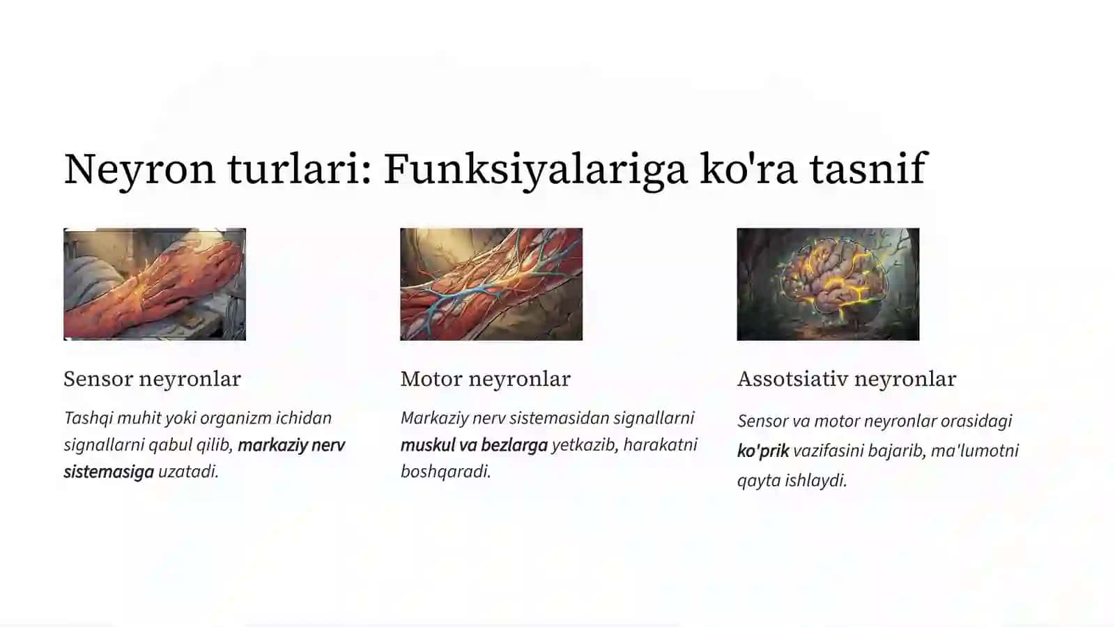 Nerv to'qimasi: Neyronlar dunyosi 4