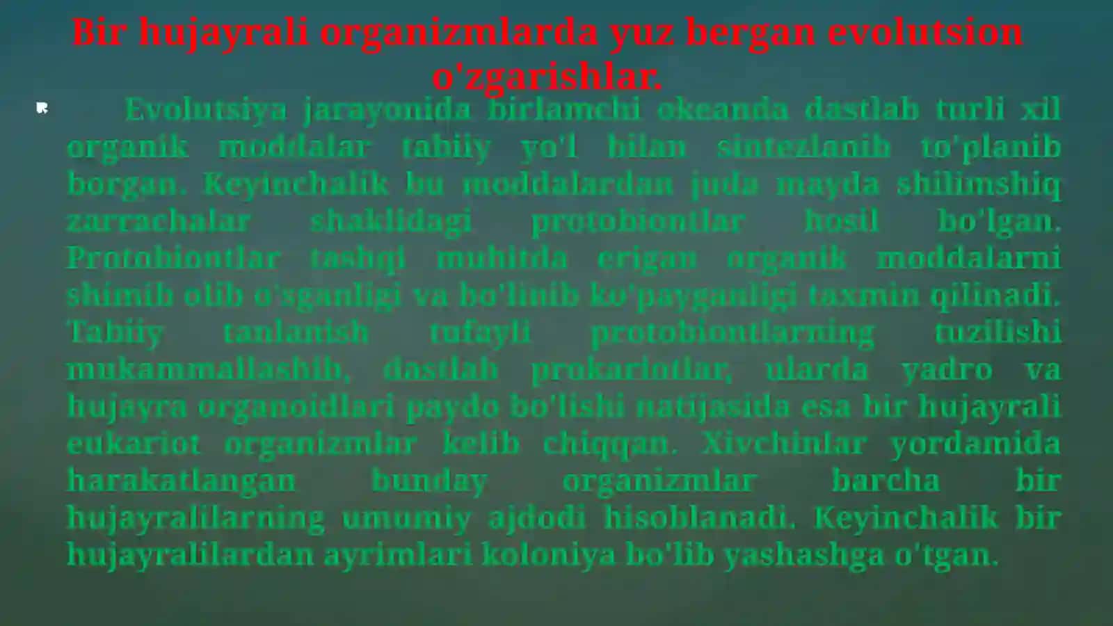 Hayvonlar filogenezi 4