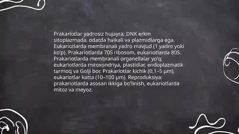Prakariotlarning sistematikasi 4