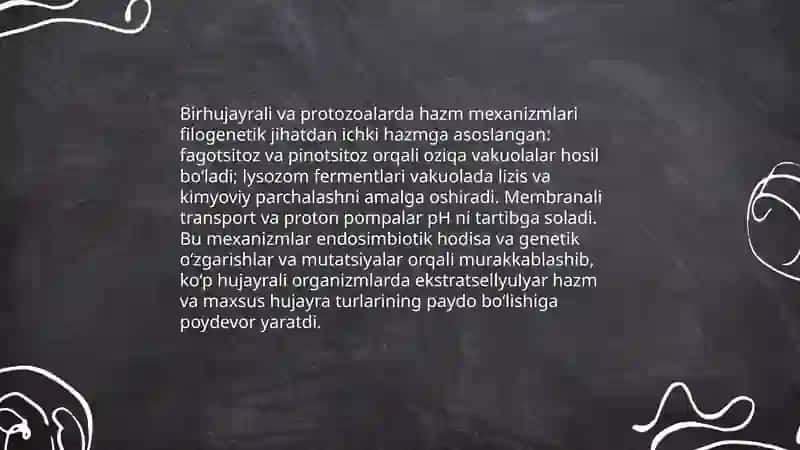 Hazim tizimi Filogenizi 4