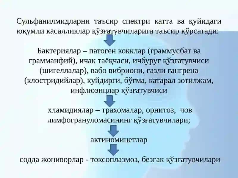 Сульфаниламидпрепаратлари 4